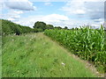 Field-edge bridleway near Penkridge