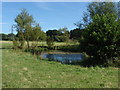 Pond. Chertsey Meads