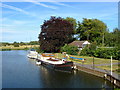 Chertsey Marina