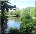 TQ2668 : River Wandle - Morden Hall Park by Paul Gillett