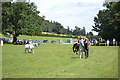 Guilsfield show ring