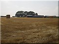 Barley straw bales awaiting collection near Southfield