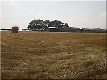 NU2030 : Barley straw bales awaiting collection near Southfield by Graham Robson