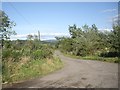 A track to riding stables