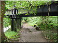 Remnant of a railway bridge near Welsh Bicknor