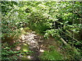 On the bridge of the old coal line