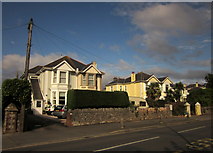 SX9165 : Semis on Westhill Road, Torquay by Derek Harper