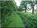 Bridleway back towards Fullmoor Lodge