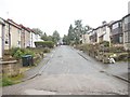 Healey Avenue - viewed from Bridleway