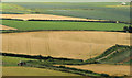 J4771 : Barley fields, Scrabo, Newtownards by Albert Bridge