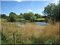 Pond at Goulceby