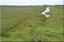 TR3462 : Natural drainage channel in the Stour estuary by Bill Boaden