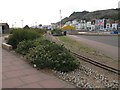 TQ8209 : Hastings Miniature Railway - single track by Stephen Craven