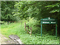 SU8013 : Entrance to Wildham Wood by Robin Webster