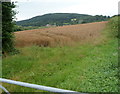 A view across fields towards Clyro