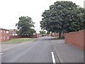 Disraeli Terrace - looking towards Hunslet Hall Road