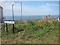 Beacon Hill sign and wild flowers