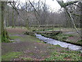 NY1221 : Holme Beck and footbridge by Peter Bond