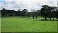 Grassland, Whitton