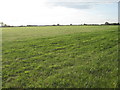 TF0795 : Grassland off Moor Road by Jonathan Thacker