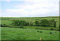 Devon countryside, Westdown