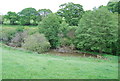 Pond near Coleshill Copse