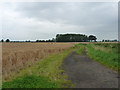 Fields and farm track on the Birch Moors