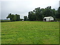 Field barn and hayfield near Adeney