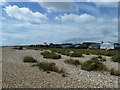 A short circular walk around Pagham (5)