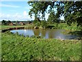 Pond in a field above Acton Trussell