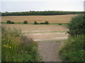 View towards Brackens Farm