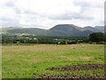 NY0615 : Fields south of Ennerdale Bridge by David Purchase