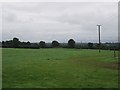 N1252 : Grass field, Brackagh by Richard Webb