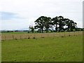 Fields near Ecclefechan