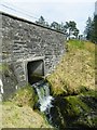 Culvert under the A44 at Gelli