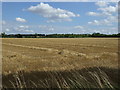 Farmland near Sutton