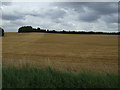 Farmland near Slip End