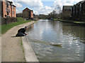 Trying out a radio-controlled model boat: 2