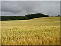 Fields west of Dunning