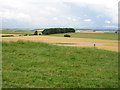 Fields near Meadowbank