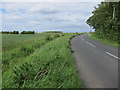 Road past Weaveley Wood