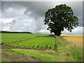 Fields near Garry