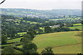 Honiton viewed from Luppitt