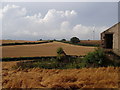 Fields by Bondhay Barn