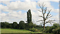 Looking across the fields nr Coton farm