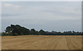 Farmland near Langford