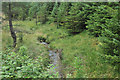 Stream near Dalveallan