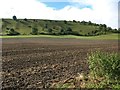 Field next to B3098, looking towards Westbury Hill