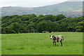 SH6039 : View Towards Hir Ynys, Gwynedd by Peter Trimming