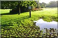 Early morning scene in Allensford Park